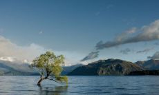 当男人梦见自身性器官涨大时，该梦象预示着何种意义和预示的未来趋势？