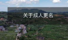 的法律程序和注意事项:从申请到审批,一步步教你如何进行成人更名,包含必要的法律条款和名字选择建议