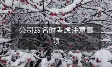 在为公司命名时需要考虑的重要因素和注意事项