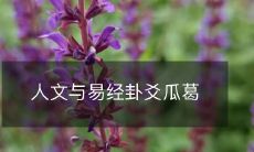 揭示人文文化与易经卦爻之间的深层蕴意与关联,探究其互动交融的历史与现实意义