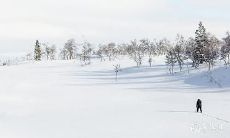 2023年2月19日、20日入住神通广大的吉利房屋是否能够带来好运呢?