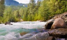 做梦见源源不断涌出的水流，这意味着什么？