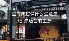 属蛇人最旺的生意领域以及最适合属蛇人从事的商业行业是什么?