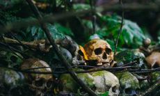 什么是梦见自己杀人并四处躲藏的预兆，可以从梦境中读取的信息？