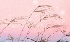 属于牛和白羊星座的女性:她们的性格特点是什么？