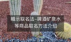 揭开商品营销的奥秘:探秘啤酒、矿泉水等商品名称的创造方法