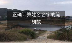 如何准确计算中文姓名中的笔划数?