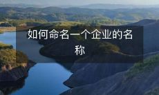 如何选择适合企业的命名标准和步骤:从市场调研到法律检查,完整指南和最佳实践