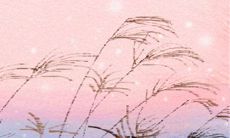 属牛巨蟹座女生的性格特征:从急躁到敏感,从顽固到温柔,探究牛蟹座女性的心理特质与行为倾向