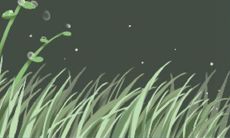 细究属牛双鱼座女生的个性特征,揭秘两个星座结合后的性格特质