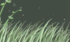 详解:属牛天秤座女生的性格特点与行为习惯,以及对人际关系的影响