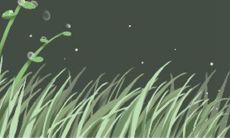 属于牛座的水瓶座女生的独特性格特点是什么？