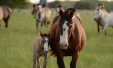 推算女性财运:哪些八字配置是有资金支撑的“迟早要有钱”的命局?
