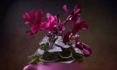 2022年射手座的感情状况会有什么变化呢?会是欣喜若狂的好消息还是不幸的坏兆头?让我们一起探讨2022年射手座的感情运势吧!