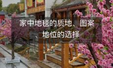 如何在家中选择适宜的地毯质地、图案和地位以提升室内装饰效果?