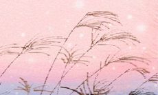 属牛金牛座女性的个性特征:解析这些星座女孩的个性和行为模式