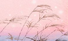 射手座女生属牛：探析她们如此独特的性格特点