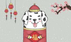 揭秘会成为大老板的生肖,探析适合成为大老板的面相特征