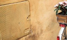 如何选择适合属鼠人的吉祥物来增进自身运势,提高吉祥值与吸引财运呢?