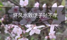 不合适的居住环境和风水不佳导致子孙行为失范且不孝的可能性增加