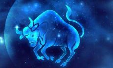 开始了解：金牛座男生暗恋你的迹象和表现特征