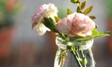 我在寒冬中发现缤纷花海,感慨万千的朋友圈文案分享