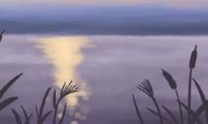 由于其温柔浪漫的性格,这些生肖是十分擅长恋爱的,从而成为了最会浪漫恋爱的生肖