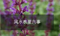 风水学中必须知道的六件不可缺少的事项是什么?