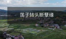 一个荡子终于迈出了痛苦的情感纠葛，决定断绝那个扰乱他生命的孽缘