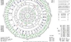 通过七政四余星盘分析婚姻合盘,揭示姻缘、正缘、桃花以及结婚对象的特征