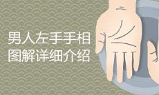 详细介绍男性左手手相图解,揭示手掌纹路与命运关系的奥秘