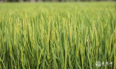 2023年2月22日与2月23日哪天搬家更好？必须在这两个日期中做选择吗？考虑各种因素来做出最明智的决定！