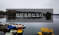 理论：从面相学到中医五行，了解脸部各部位与身体内外环境的关系