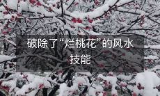 揭露烂桃花迷信,拆解风水技能的荒谬观念