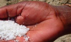 35岁以后成功致富的手相:揭秘预示财运显赫的手纹特征!