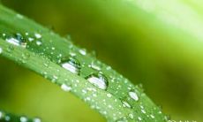 哪个日期更适合搬家,2023年2月18日还是2023年2月19日?