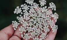 掌相解读:揭示晚年财源滚滚的手纹特征,描绘后半生发大财的掌纹脉络