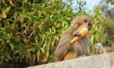 八字注定大富大贵 - 探秘生肖女们必备的命理条件