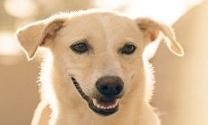 三十岁前后女性左眼跳动的不同预兆，是否能够作为一个好兆头？