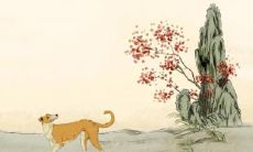 婚后享受福祉的生肖女性——揭秘八字大富贵女人婚后的幸福生活