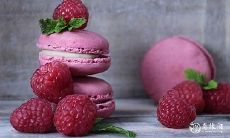 属兔人如何通过选择适宜的饮食方式实现财运大发展，以及根据其生意类型和优劣势来推荐最为适宜的商业领域，助其事业蒸蒸日上