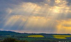 三天时间，即2023年2月26日至28日，吉利公司的出殡仪式是否具有吉祥之意？