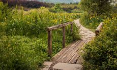 的饰品有哪些选购技巧?