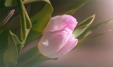 丧礼安排:2023年2月22日、23日出殡,这样是否符合吉利之道?