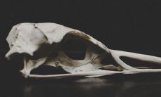 做梦中已故父亲复活,是否意味着有某种特殊预兆出现?