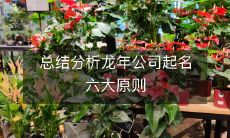 综合分析归纳出的龙年公司起名六大原则，为您提供优质的企业命名参考