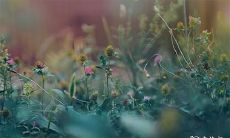 在2023年的2月20日与21日,出殡吉利的可能性有多大?