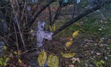 女性做梦看到无数坟墓,这是否预示着什么?