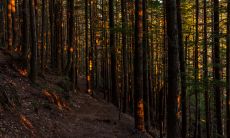 做梦与已故奶奶交谈是一个好兆头吗?