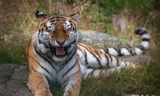 男人都喜欢的小妖精:有哪些星座女让人念念不忘?